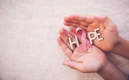 Advokatska kancelarija Vujović - hope